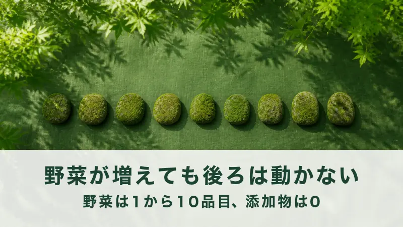 木もれ日の緑の布に苔むした石を九つ並べた