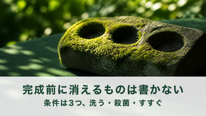 緑の中で三つ穴のあいた苔むした石に寄る