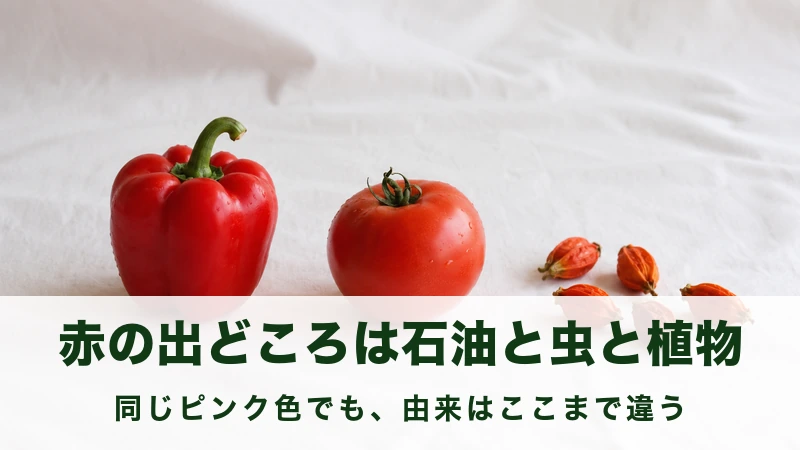 白い布の上に並んだ赤いパプリカとトマトとクチナシの実