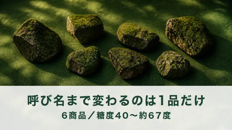 木もれ日が差す布に、苔むした石が7つ散らばる