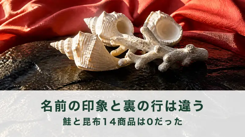 赤い布を背にして、濡れた黒い石の上に白い巻貝と白いさんごが並んでいる