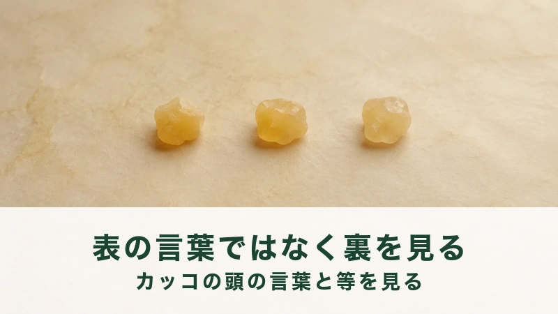 淡い黄色の布の上に、小さなあめ色の粒が3つ等間隔で並んでいる