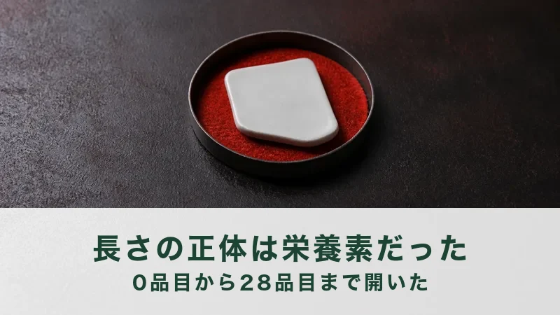 黒い器に赤い粉を敷き、白い四角のかたまりをのせてある