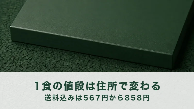 深緑の粒だつ床に置かれた緑の平たい箱を斜め上から写した画像