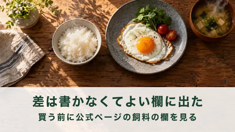 朝の食卓に置かれた目玉焼きと白いごはん