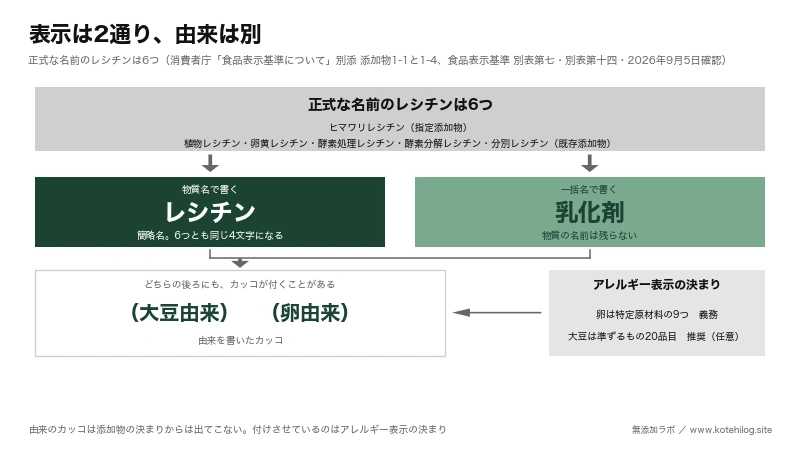 レシチンの表示が物質名と一括名に分かれ、由来はアレルギー表示から来ることを矢印で示した図